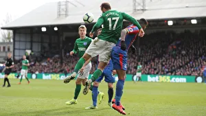 Premier League Showdown: Crystal Palace vs. Brighton and Hove Albion at Selhurst Park (9th March 2019)