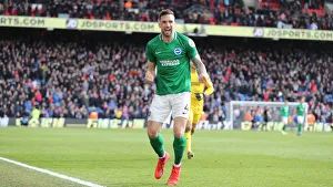 Premier League Showdown: Crystal Palace vs. Brighton and Hove Albion at Selhurst Park (9th March 2019)