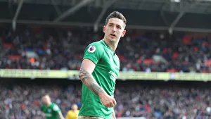 Premier League Showdown: Crystal Palace vs. Brighton and Hove Albion at Selhurst Park (9th March 2019)