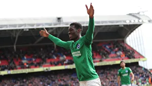 Premier League Showdown: Crystal Palace vs. Brighton and Hove Albion at Selhurst Park (9th March 2019)