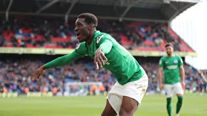 Premier League Showdown: Crystal Palace vs. Brighton and Hove Albion at Selhurst Park (9th March 2019)