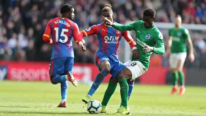 Premier League Showdown: Crystal Palace vs. Brighton and Hove Albion at Selhurst Park (9th March 2019)