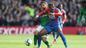 Premier League Showdown: Crystal Palace vs. Brighton and Hove Albion at Selhurst Park (9th March 2019)