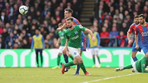 Premier League Showdown: Crystal Palace vs. Brighton and Hove Albion at Selhurst Park (9th March 2019)
