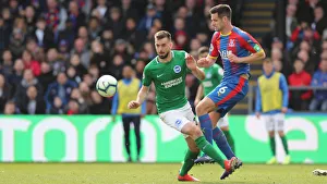 Premier League Showdown: Crystal Palace vs. Brighton and Hove Albion at Selhurst Park (9th March 2019)