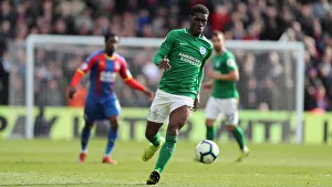 Premier League Showdown: Crystal Palace vs. Brighton and Hove Albion at Selhurst Park (9th March 2019)
