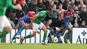 Premier League Showdown: Crystal Palace vs. Brighton and Hove Albion at Selhurst Park (9th March 2019)