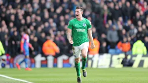 Premier League Showdown: Crystal Palace vs. Brighton and Hove Albion at Selhurst Park (9th March 2019)