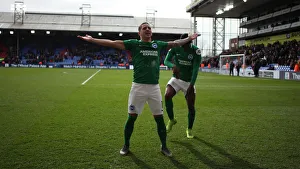 Premier League Showdown: Crystal Palace vs. Brighton and Hove Albion at Selhurst Park (9th March 2019)
