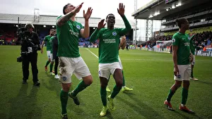 Premier League Showdown: Crystal Palace vs. Brighton and Hove Albion at Selhurst Park (9th March 2019)