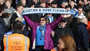 Premier League Showdown: Crystal Palace vs. Brighton and Hove Albion at Selhurst Park (9th March 2019)