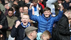 Premier League Showdown: Crystal Palace vs. Brighton and Hove Albion at Selhurst Park (9th March 2019)