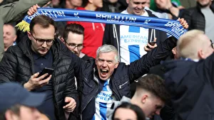 Premier League Showdown: Crystal Palace vs. Brighton and Hove Albion at Selhurst Park (9th March 2019)