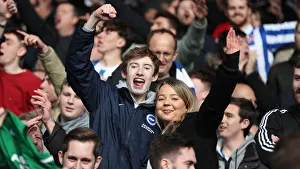 Premier League Showdown: Crystal Palace vs. Brighton and Hove Albion at Selhurst Park (9th March 2019)