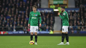 Premier League Showdown: Everton vs. Brighton & Hove Albion at Goodison Park (03NOV18)