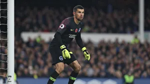 Premier League Showdown: Everton vs. Brighton & Hove Albion at Goodison Park (03NOV18)