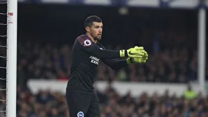 Premier League Showdown: Everton vs. Brighton & Hove Albion at Goodison Park (03NOV18)