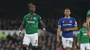 Premier League Showdown: Everton vs. Brighton and Hove Albion at Goodison Park (03NOV18)