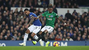 Premier League Showdown: Everton vs. Brighton and Hove Albion at Goodison Park (03NOV18)