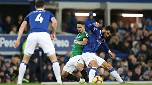 Premier League Showdown: Everton vs. Brighton and Hove Albion at Goodison Park (03NOV18)