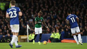 Premier League Showdown: Everton vs. Brighton and Hove Albion at Goodison Park (03NOV18)
