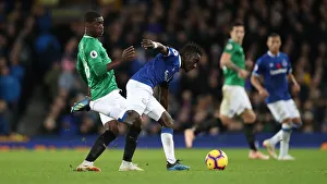 Premier League Showdown: Everton vs. Brighton & Hove Albion at Goodison Park (03NOV18)