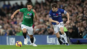Premier League Showdown: Everton vs. Brighton & Hove Albion at Goodison Park (03NOV18)