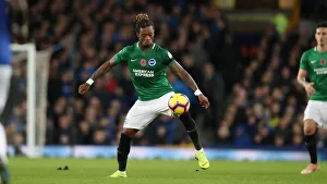 Premier League Showdown: Everton vs. Brighton & Hove Albion at Goodison Park (03NOV18)