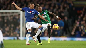 Premier League Showdown: Everton vs. Brighton and Hove Albion at Goodison Park (03NOV18)