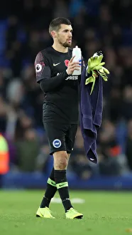 Premier League Showdown: Everton vs. Brighton & Hove Albion at Goodison Park (03NOV18)