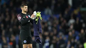 Premier League Showdown: Everton vs. Brighton and Hove Albion at Goodison Park (03NOV18)
