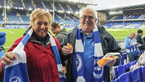 Premier League Showdown: Everton vs. Brighton and Hove Albion at Goodison Park (03NOV18)