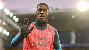 Premier League Showdown: Everton vs. Brighton & Hove Albion at Goodison Park (03NOV18)
