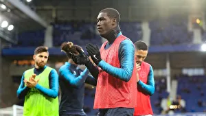 Premier League Showdown: Everton vs. Brighton and Hove Albion at Goodison Park (03NOV18)
