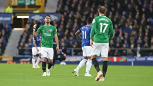 Premier League Showdown: Everton vs. Brighton and Hove Albion at Goodison Park (03NOV18)