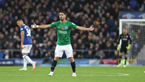 Premier League Showdown: Everton vs. Brighton & Hove Albion at Goodison Park (03NOV18)