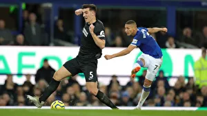 Premier League Showdown: Everton vs. Brighton and Hove Albion at Goodison Park (11JAN20)