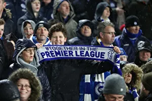 Premier League Showdown: Fulham vs. Brighton and Hove Albion at Craven Cottage (29 JAN 19)