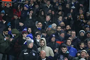 Premier League Showdown: Fulham vs. Brighton and Hove Albion at Craven Cottage (29 JAN 19)