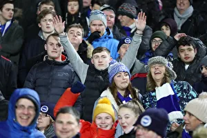 Premier League Showdown: Fulham vs. Brighton and Hove Albion at Craven Cottage (29 JAN 19)