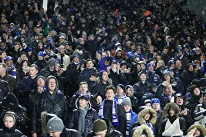 Premier League Showdown: Fulham vs. Brighton and Hove Albion at Craven Cottage (29 JAN 19)