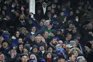 Premier League Showdown: Fulham vs. Brighton and Hove Albion at Craven Cottage (29 JAN 19)