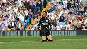 Premier League Showdown: Leeds United vs. Brighton & Hove Albion (15May22)