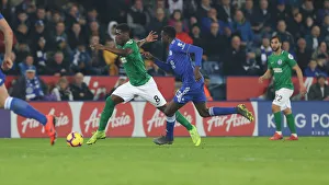 Premier League Showdown: Leicester City vs. Brighton & Hove Albion, 26th February 2019