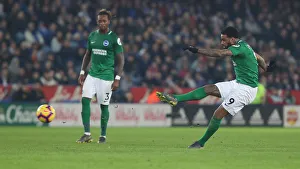 Premier League Showdown: Leicester City vs. Brighton & Hove Albion - February 2019