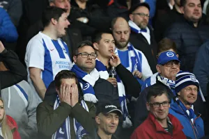 Premier League Showdown: Leicester City vs. Brighton and Hove Albion at The King Power Stadium - 26th February 2019