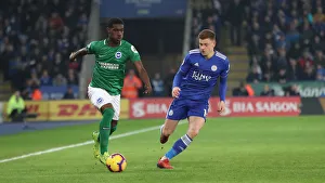 Premier League Showdown: Leicester City vs. Brighton & Hove Albion at The King Power Stadium - 26th February 2019
