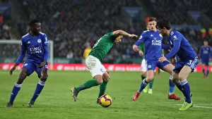 Premier League Showdown: Leicester City vs. Brighton and Hove Albion (26FEB19)