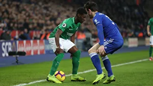 Premier League Showdown: Leicester City vs. Brighton and Hove Albion at The King Power Stadium - 26th February 2019