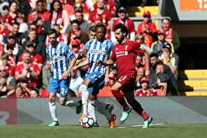 Premier League Showdown: Liverpool vs. Brighton and Hove Albion (13MAY18)